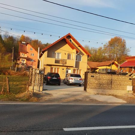Willa Steluta Călimăneşti Zewnętrze zdjęcie