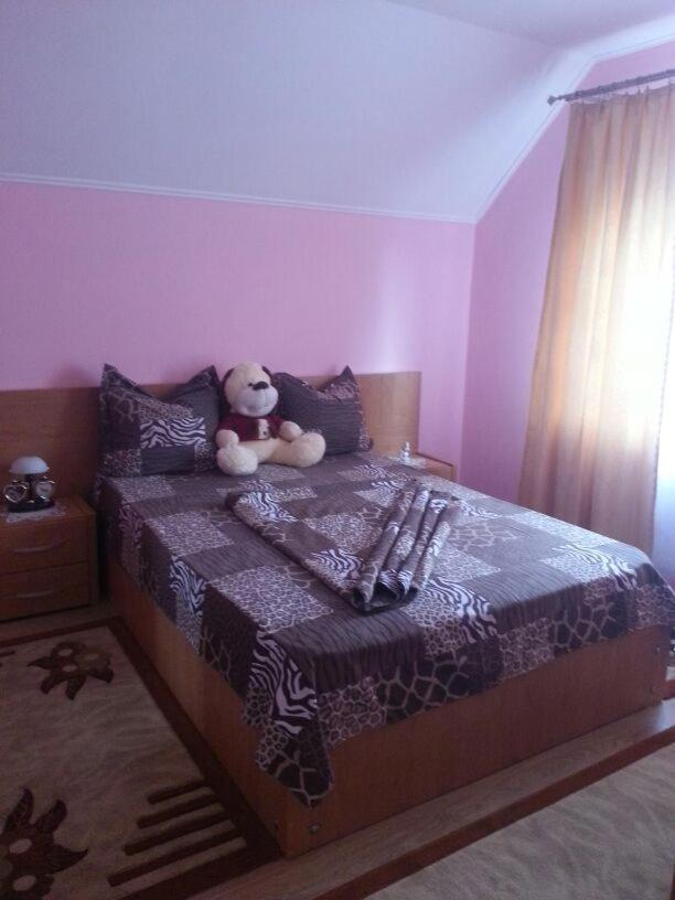 Willa Steluta Călimăneşti Zewnętrze zdjęcie